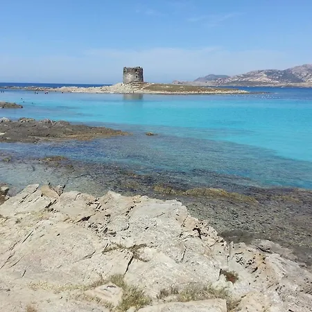 Amaranta Alghero