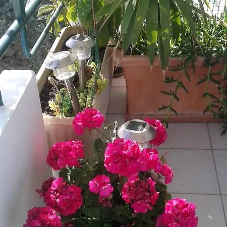 Amaranta Frühstückspension Alghero