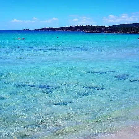 Amaranta * Alghero